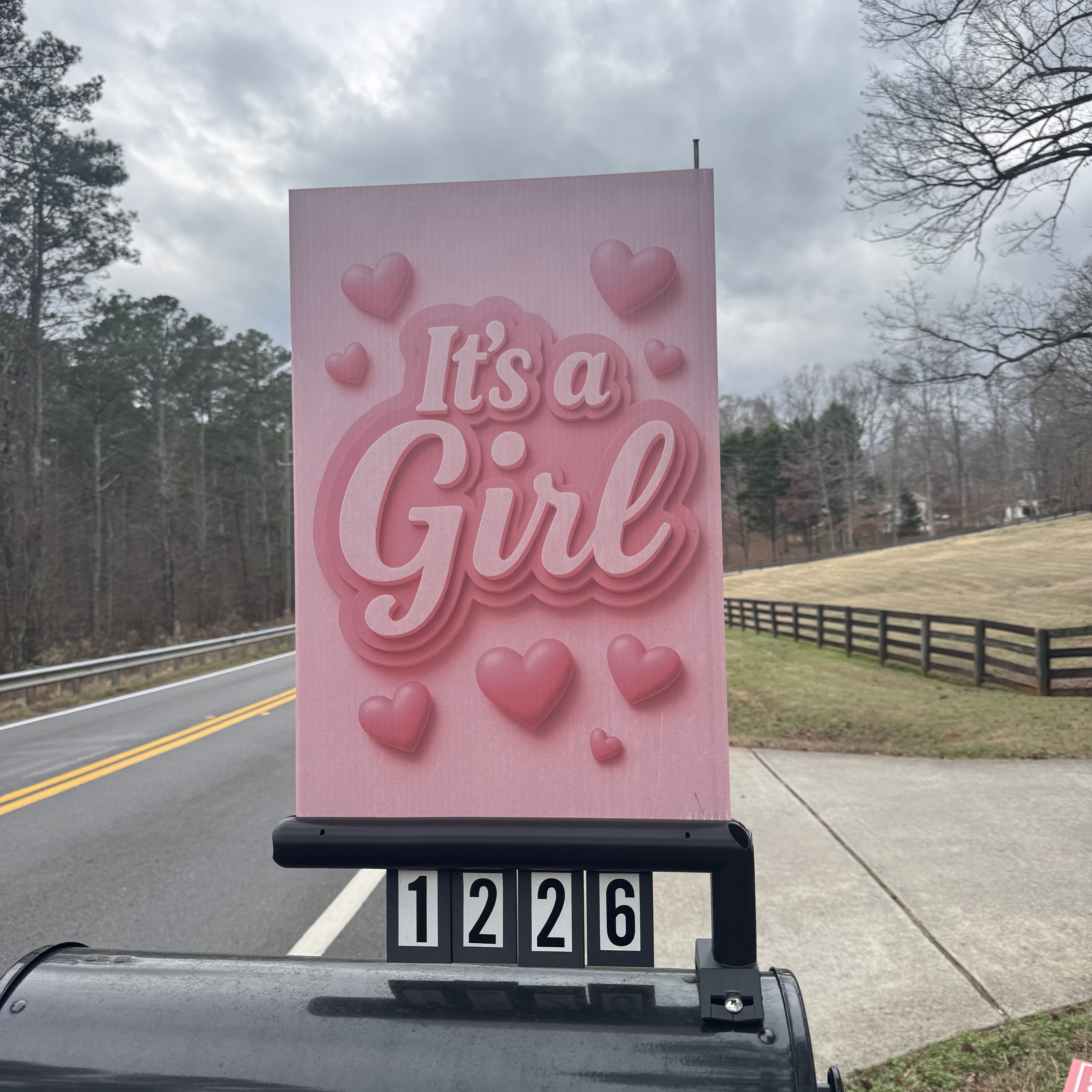 It's a Girl sign on MailboxFan